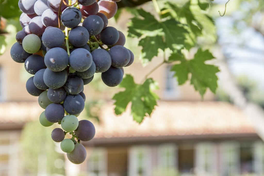 Ca Muretta Relais Bardolino Luaran gambar